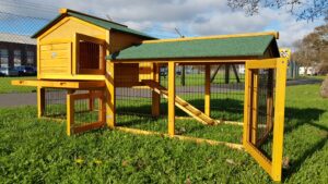 The Smokey XXL Rabbit Hutch