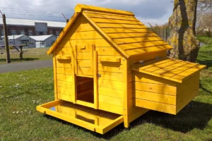 Betty Air Chicken House