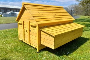 Nelly Air Chicken House