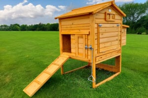 Granary Chicken Coop
