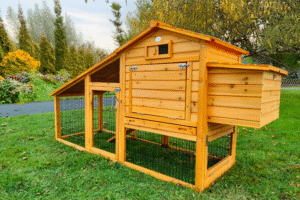 Granary Chicken Coop & Run