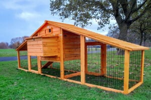 XXL Granary Chicken Coop & Run