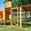 Buckingham Chicken Coop & Run - Fox Resistant - Image 2