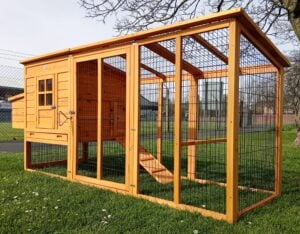 Windsor Design Chicken Coop & Run