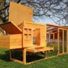 Windsor Design Chicken Coop & Run - Fox Resistant - Image 3
