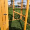 Windsor Design Chicken Coop & Run - Fox Resistant - Image 6