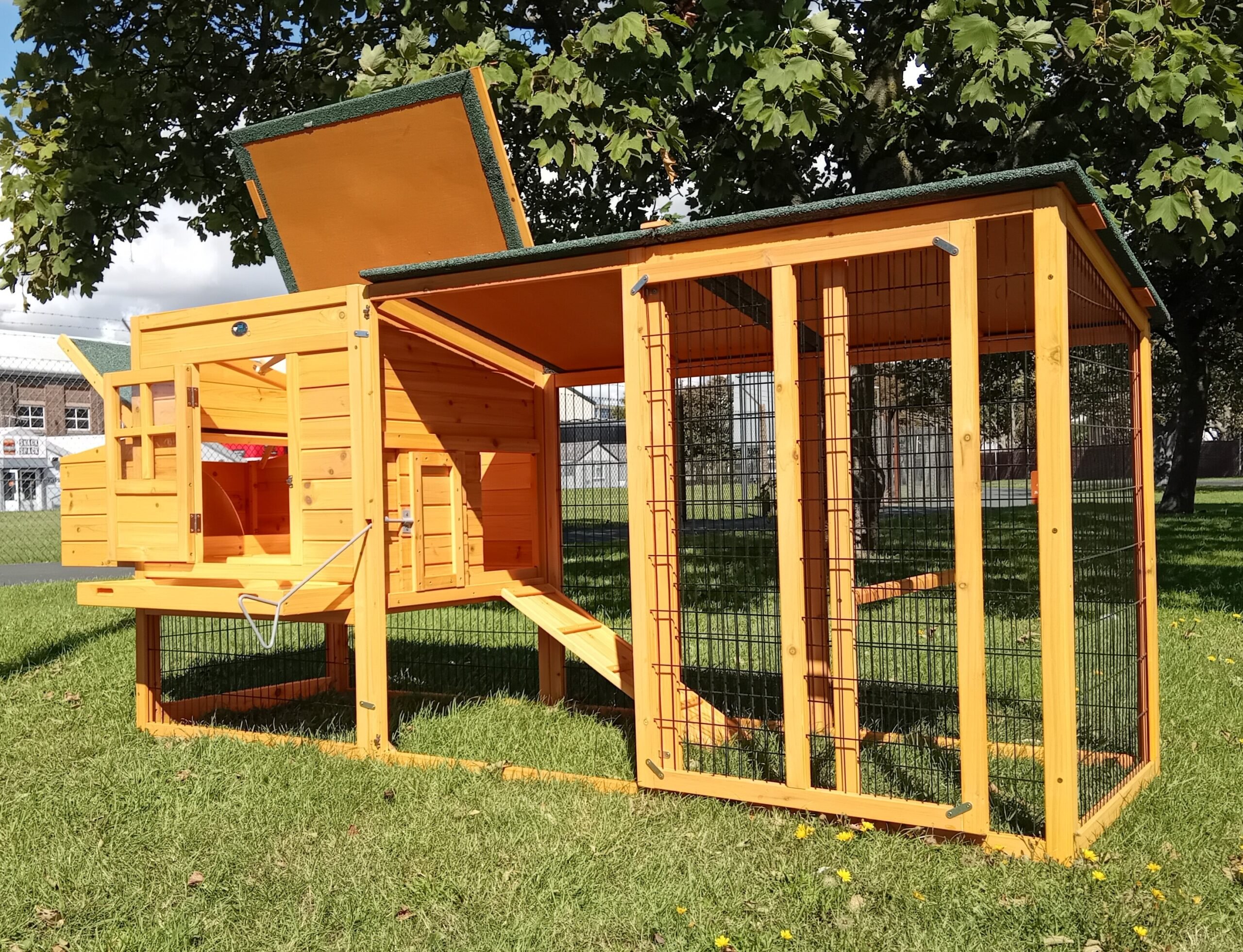 Windsor Design Chicken Coop & Run - Fox Resistant - Image 3