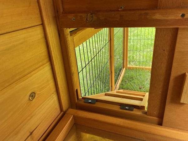 Natural wood interior of a rabbit hutch, showing ramp