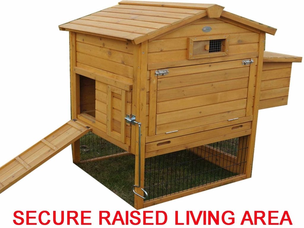Chicken Coops And Chicken Houses For Sale Eggshell Online