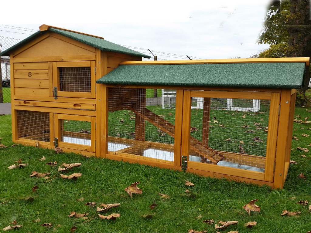 Rabbit Hutch