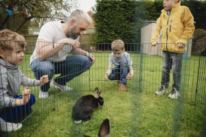 Looking at the Rabbits