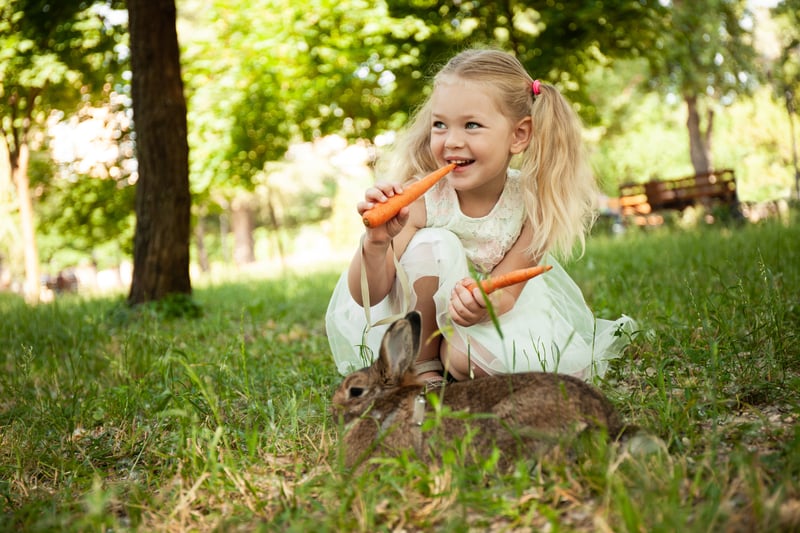 Little girl in white dress eating carrots with her pet rabbit