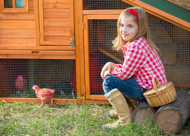 young girl with her pet chickens 