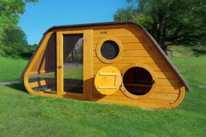 Noah’s Ark Chicken coop