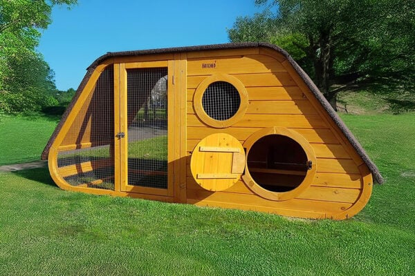 Noah’s Ark Chicken coop