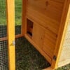 Noah’s Ark Chicken Coop