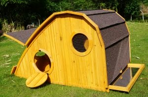 Sloped roof chicken coop with open hatch and open circular doorway