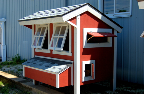 red and white painted chicken coop house.