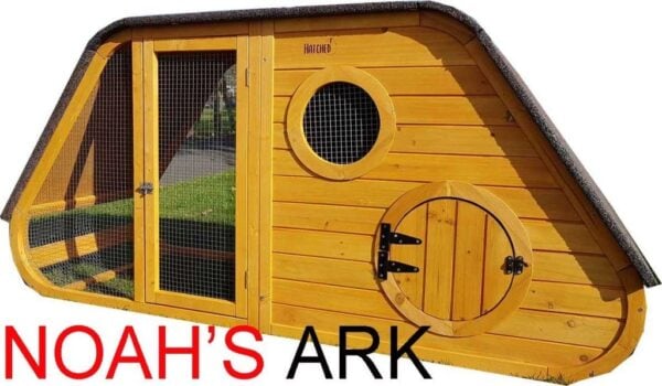 noahs ark chicken