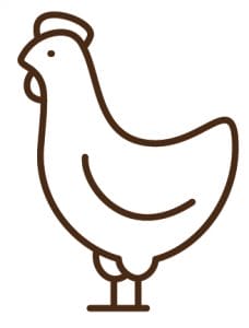 Chicken Icon