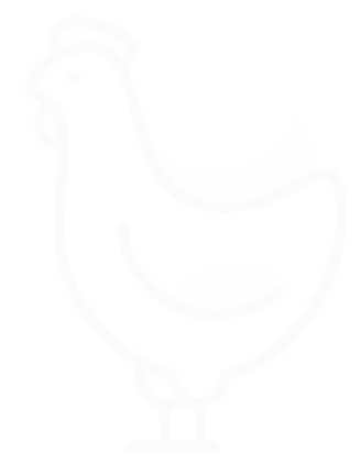 White Chicken Icon