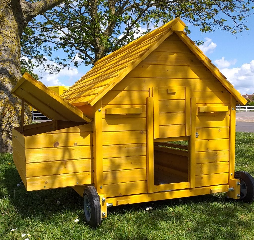 How to secure a chicken run to prevent predators