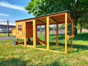 Portable Buckingham Chicken Coop & Run - Fox Resistant