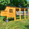 Portable Buckingham Chicken Coop & Run - Fox Resistant