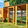 Portable Buckingham Chicken Coop & Run - Fox Resistant