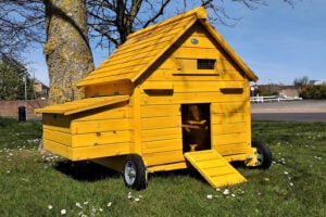Portable Betty Air Chicken House