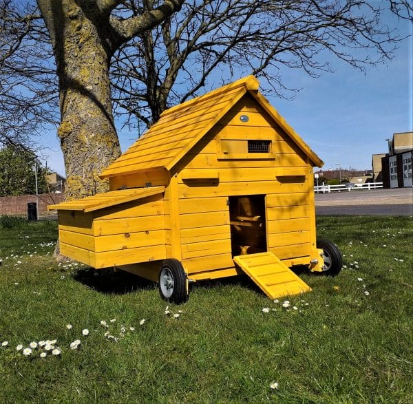 Front View of portable chicken coop with nest box - the Betty Air Design