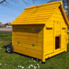 Portable Betty Air Chicken House - Image 2