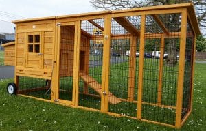 Large chicken coop with wheel - portable Windsor Chicken Coop design