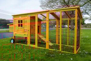 Portable Windsor Design Chicken Coop & Run