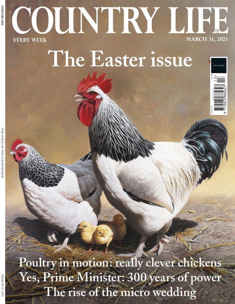 Country life magazine front cover March 2021