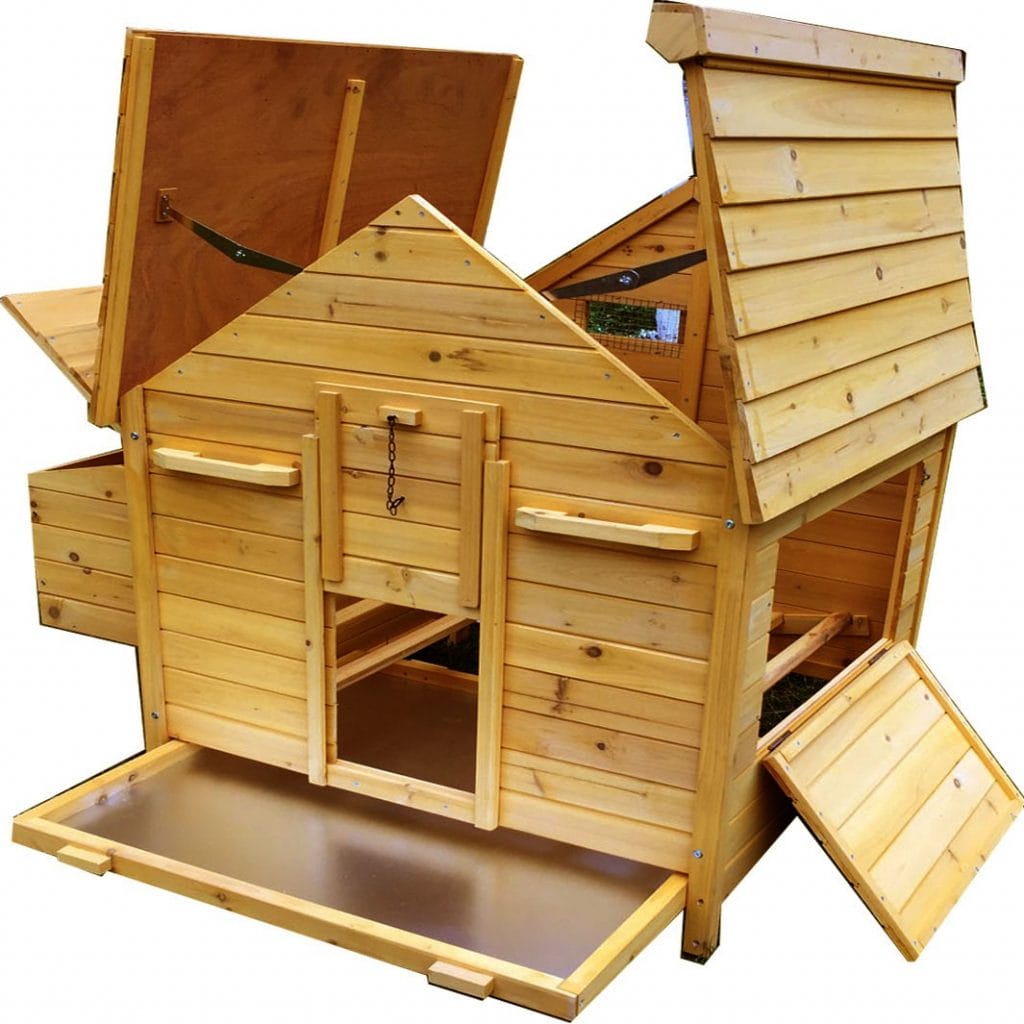 Chicken Coops And Chicken Houses For Sale Eggshell Online