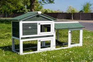 The Smokey XL Green Rabbit Hutch