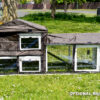 Large Rabbit Hutch - Green Design - Fox Resistant Hutch - Image 11