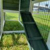 view of ramp on rabbit hutch, leading to grass area.