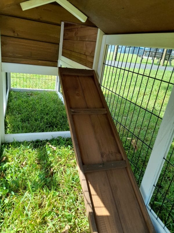 Ramp on brown rabbit hutch leading down to grass area