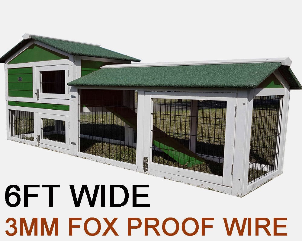 Extra Large Rabbit Hutch Green Design Fox Resistant Eggshell Online