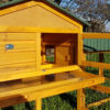 XXL Rabbit Hutch - Smokey Natural Design - Fox Resistant - Image 8