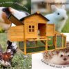 Raised Hutch Chicken Coop with Run - Image 2