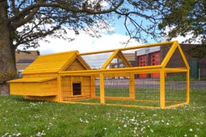 Gertrude Air Chicken House with run