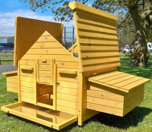 Deluxe Betty Chicken House