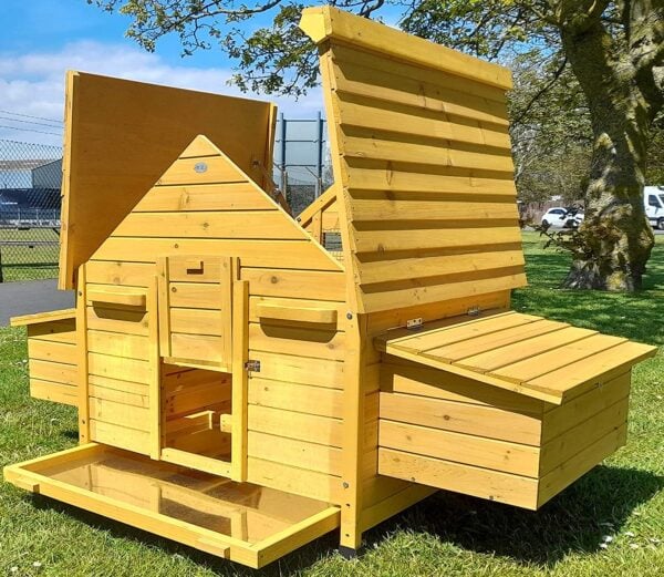 Deluxe Betty Chicken House