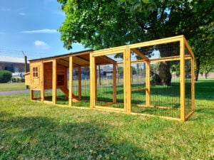 12.5FT Buckingham XL Chicken Coop & Run