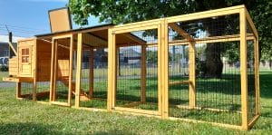 12.5FT Buckingham XL Chicken Coop & Run – Fox Resistant