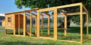 12.5ft Windsor XL Design Chicken Coop & Run – Fox Resistant