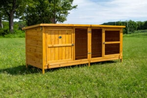 extra large rabbit hutch